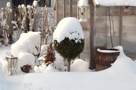gallery_4207_4062_95112.jpg
