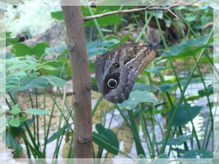 gallery_7440_4148_11120.jpg