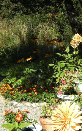 gallery_27097_4150_44776.jpg
