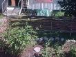 tn_gallery_21017_4167_101461.jpg