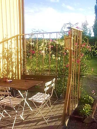 gallery_21017_4169_111872.jpg