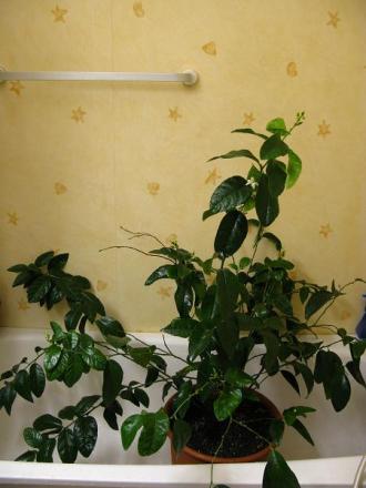 gallery_10947_664_31979.jpg