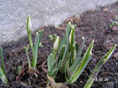 gallery_1786_1878_67255.jpg