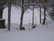 tn_gallery_22122_4163_101649.jpg