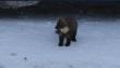 tn_gallery_2529_1143_3886.jpg