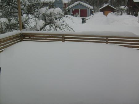 gallery_10191_3981_7018.jpg