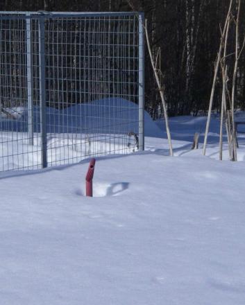 gallery_707_3253_79313.jpg