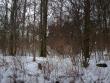 tn_gallery_22122_4163_50473.jpg