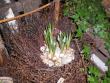 tn_gallery_941_4192_24834.jpg