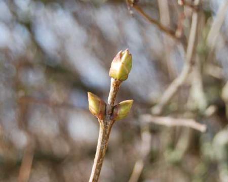gallery_19840_4193_1311.jpg