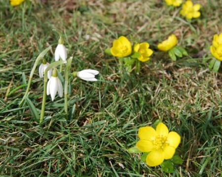 gallery_19840_4193_4225.jpg