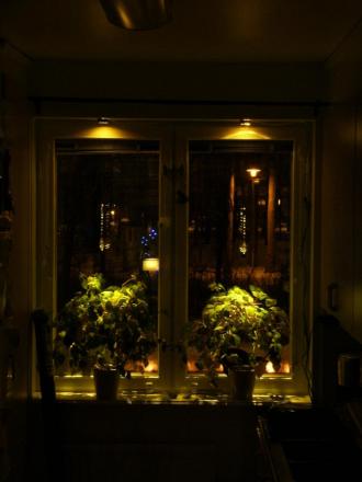 gallery_28241_4197_9524.jpg