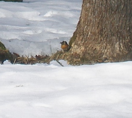 gallery_22122_4163_31199.jpg