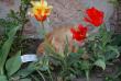 tn_gallery_1028_4204_125069.jpg