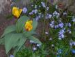 tn_gallery_1028_4204_219614.jpg