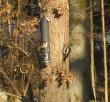 tn_gallery_22122_4163_54616.jpg