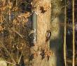 tn_gallery_22122_4163_77102.jpg