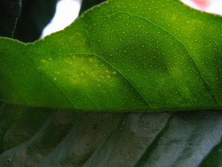 gallery_10947_664_27775.jpg
