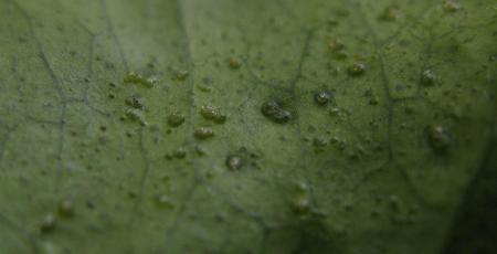 gallery_10947_664_37398.jpg