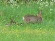 tn_gallery_7606_1741_17504.jpg