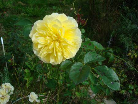 gallery_12789_4210_107508.jpg