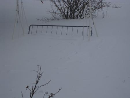 gallery_23204_4217_44134.jpg