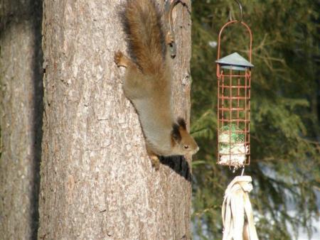 gallery_23204_4217_49871.jpg