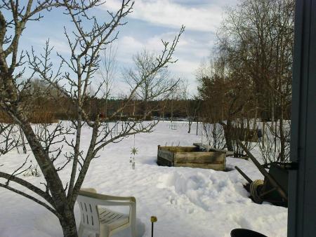 gallery_2529_1143_107164.jpg
