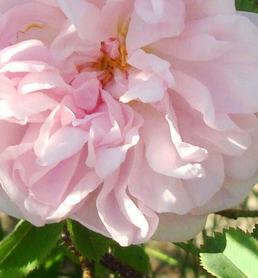 gallery_12789_2988_37526.jpg