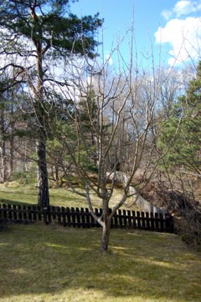 gallery_2086_4235_105332.jpg