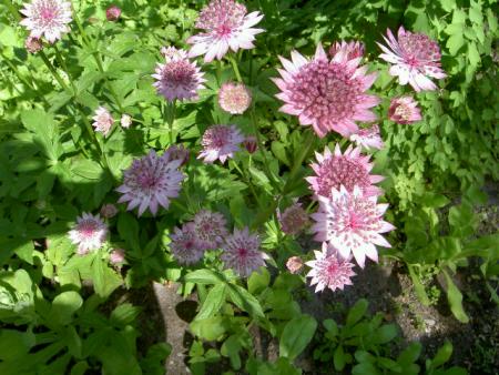 gallery_21198_4240_105378.jpg