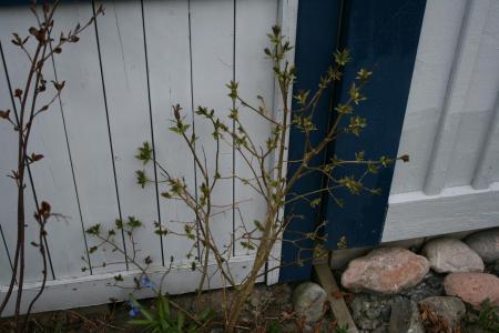 gallery_29547_4244_12988.jpg