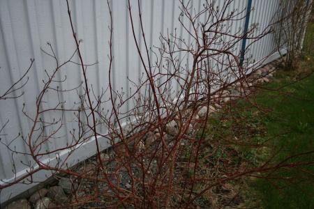 gallery_29547_4244_58533.jpg