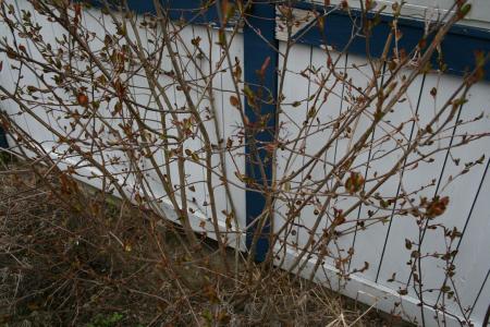 gallery_29547_4244_6956.jpg