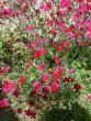 tn_gallery_21198_4240_238627.jpg