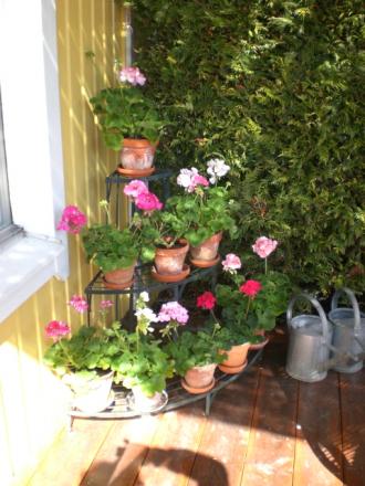 gallery_941_4252_65231.jpg