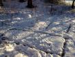 tn_gallery_22122_4238_69446.jpg