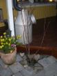 tn_gallery_941_4252_135436.jpg
