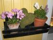 tn_gallery_941_4252_19393.jpg