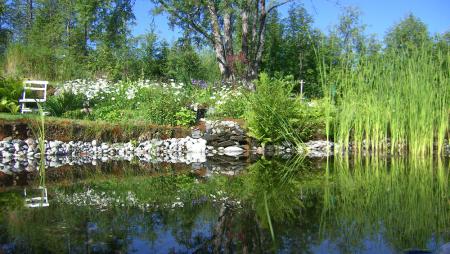 gallery_26801_4045_320440.jpg