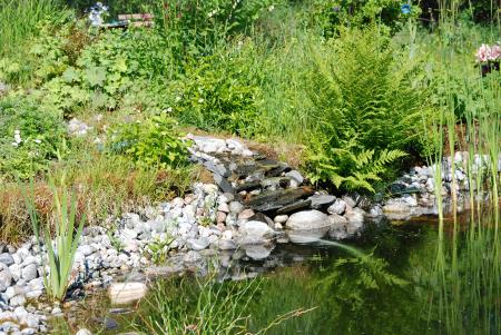 gallery_26801_4045_474306.jpg