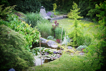 gallery_23533_3542_156101.jpg