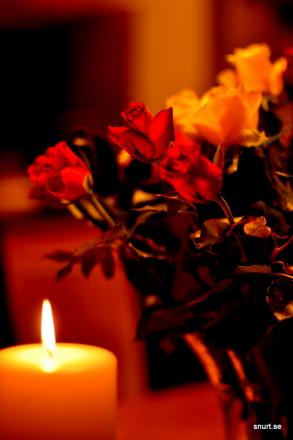 gallery_28330_4265_113360.jpg