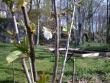 tn_gallery_22122_4271_123596.jpg