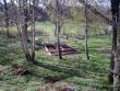 tn_gallery_22122_4271_46093.jpg