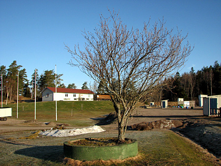 gallery_23000_4268_75765.jpg