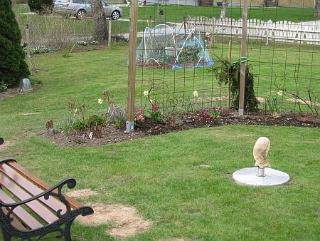 gallery_7737_4275_8528.jpg