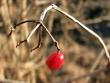tn_gallery_23000_4268_37722.jpg