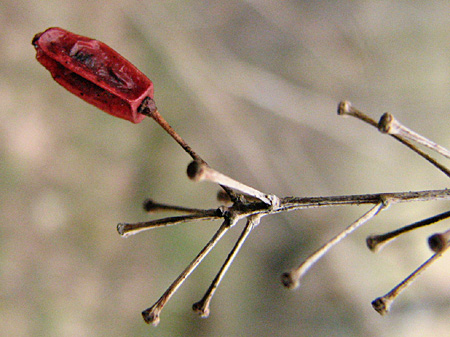 gallery_23000_4268_31515.jpg