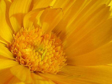 gallery_23000_4281_28941.jpg